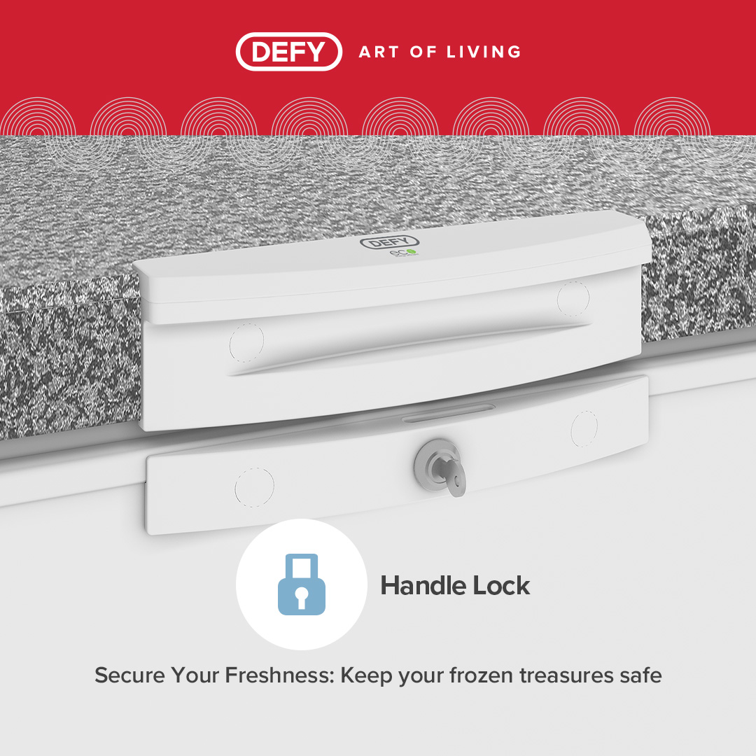 DEFY 254L CHEST FREEZER SOLAR OFF-GRID - Image 9